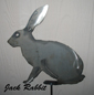 Jack Rabbit